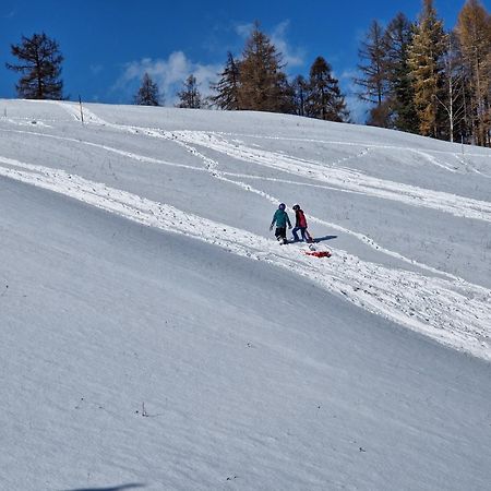 Wohlfuehl-Appartement Bergsee Family - Am Wildsee - Sup Und Schlitten For Free 제펠드 인 티롤 외부 사진