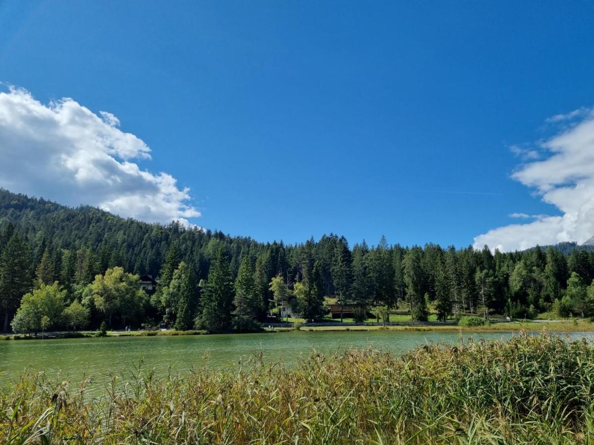 Wohlfuehl-Appartement Bergsee Family - Am Wildsee - Sup Und Schlitten For Free 제펠드 인 티롤 외부 사진