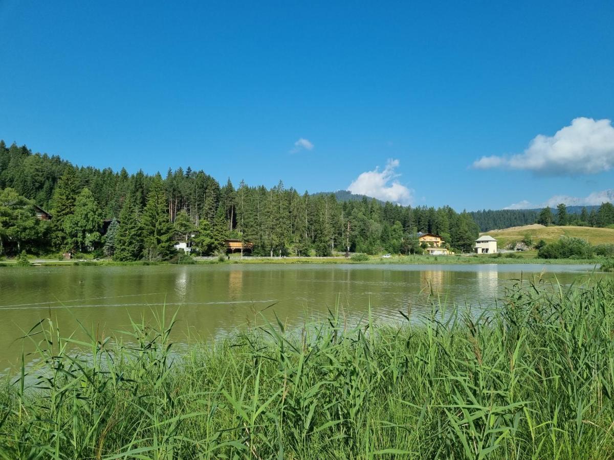 Wohlfuehl-Appartement Bergsee Family - Am Wildsee - Sup Und Schlitten For Free 제펠드 인 티롤 외부 사진