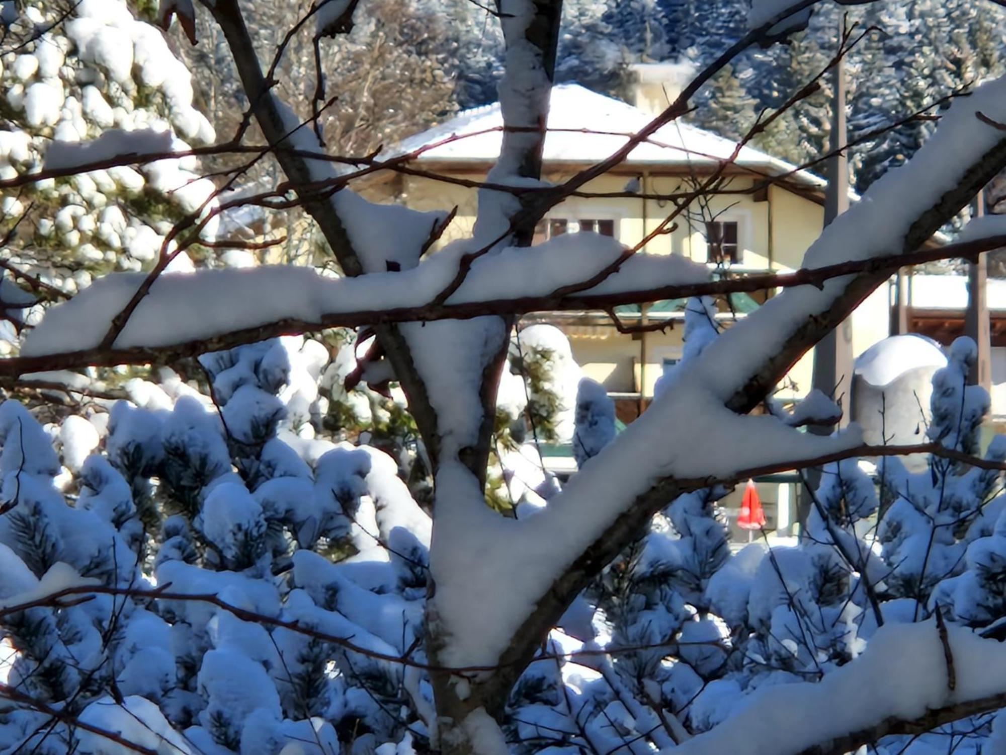 Wohlfuehl-Appartement Bergsee Family - Am Wildsee - Sup Und Schlitten For Free 제펠드 인 티롤 외부 사진