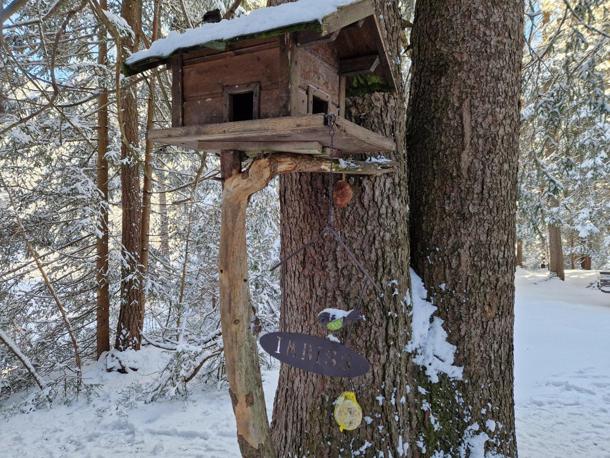 Wohlfuehl-Appartement Bergsee Family - Am Wildsee - Sup Und Schlitten For Free 제펠드 인 티롤 외부 사진
